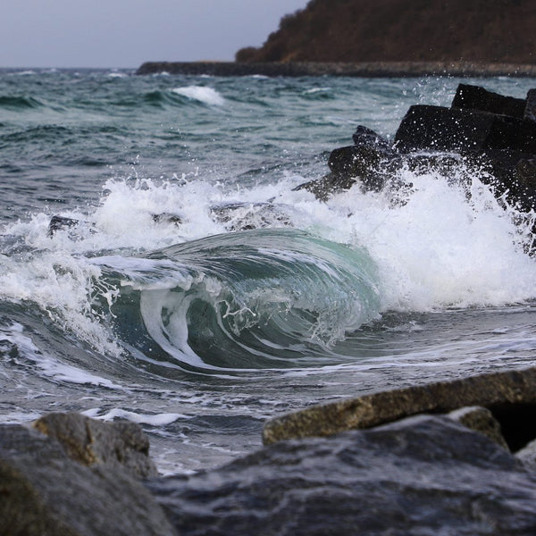 Perfekte Wellen auf der Insel Hiddensee